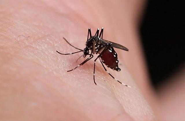 10个生活小窍门让你的日子过的更轻松