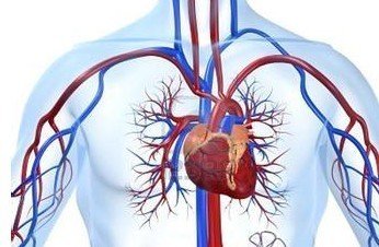 手脚发凉的注意啦，血液循环不好怎么办