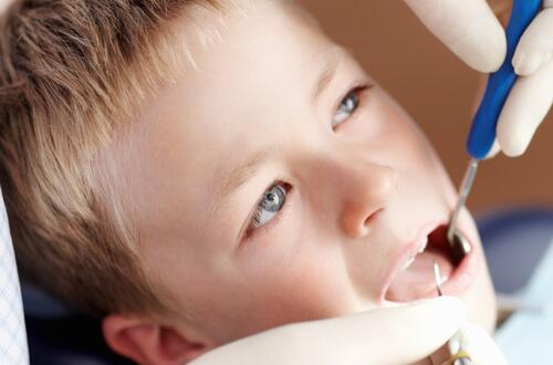 长智齿     长智齿的相关事项