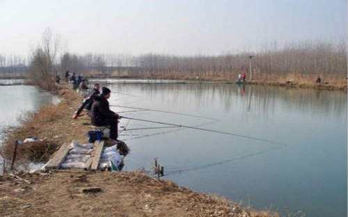 冬季快速让鱼儿上钩的方法 冬季钓鱼技巧