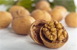 核桃皮的功效与作用 核桃皮能治疗什么