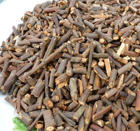 散寒解表 桂枝的功效与作用及选方介绍