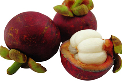 清热降火 山竹的功效与作用和吃法介绍