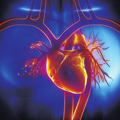 供血不足的症状   五种症状