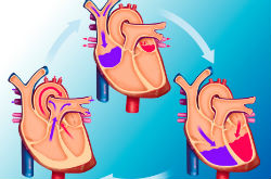 血液循环不好的症状 看完您就明白了