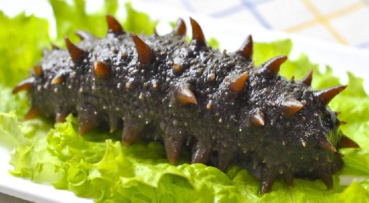 海参的功效有着意想不到的好处