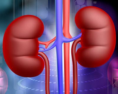 夫妻的性福生活 补肾壮阳