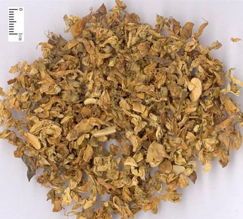 吃中药的禁忌这些禁忌大家都了解了吗