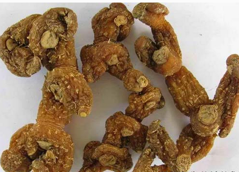 黄精的功效与作用  9种常见的作用