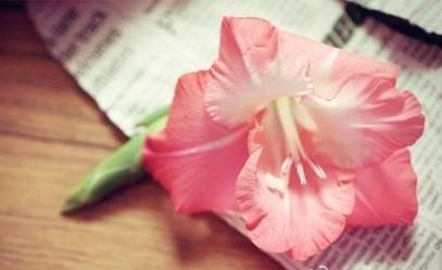 妇科炎症宫颈肥大是怎么回事