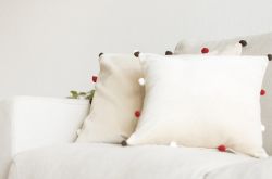 螨虫是什么东西 4妙招有效去除家居螨虫