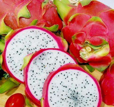 美容养颜 火龙果的好处和功效介绍