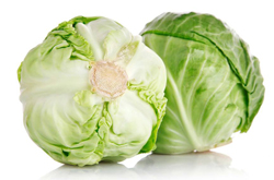 提高人体免疫力 包菜的营养价值和禁忌介绍