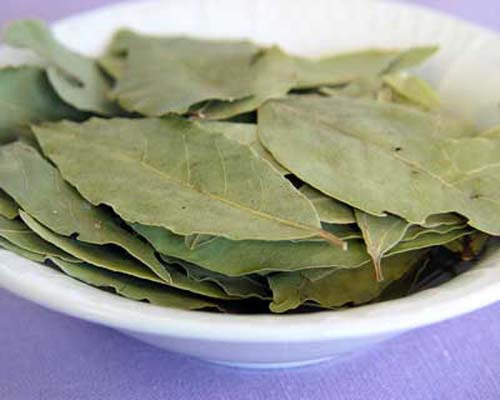 老中医减肥茶，教你轻松减肥