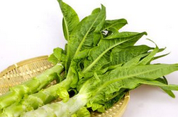 莴笋的营养价值九种营养价值