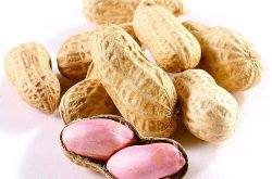 花生的功效与作用，全方位为你讲解