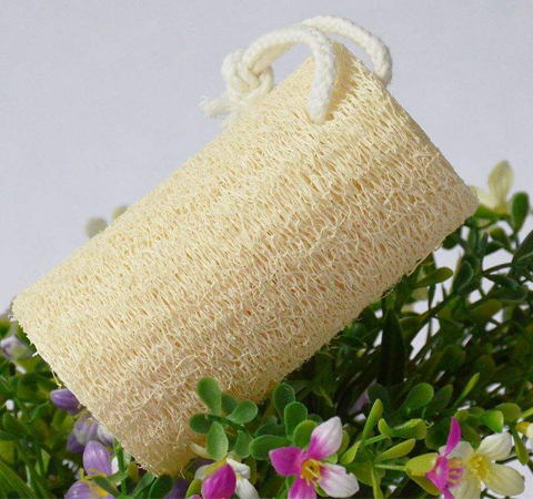 清热化痰 丝瓜络的功效与作用介绍