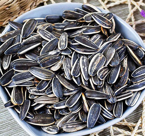 预防贫血 葵花籽的功效与作用及禁忌介绍