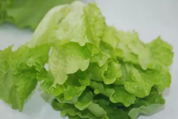 生菜的营养价值和药用价值的详解介绍