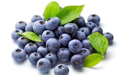  吃出健康 蓝莓怎么吃