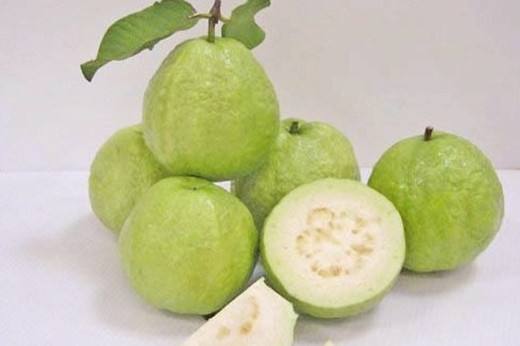 生活经验讲堂 番石榴的营养价值