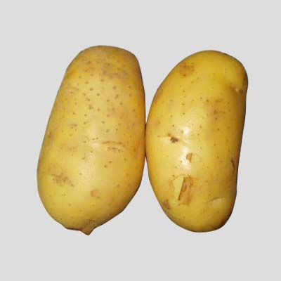 土豆汁的功效与作用   五大功效