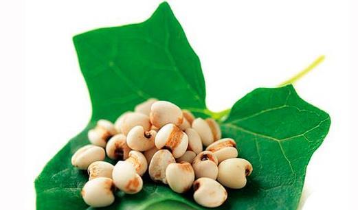 治牛皮癣偏方 这13个省钱又高效