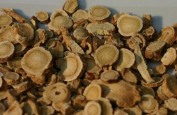 黄芪的功效及其快捷方便的使用方法