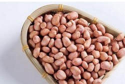 生花生的功效与作用  吃花生好处有很多