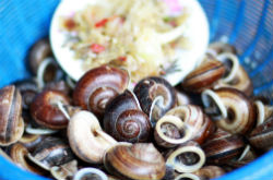 田螺的营养价值是什么 作用与功效有哪些