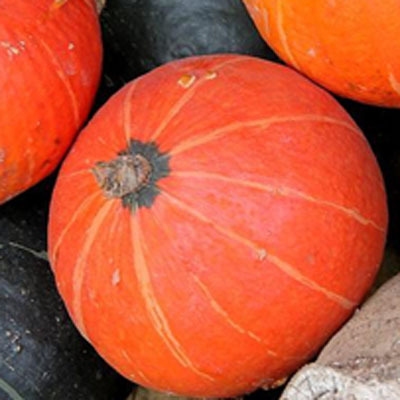 缺铁性贫血吃什么水果  四种水果