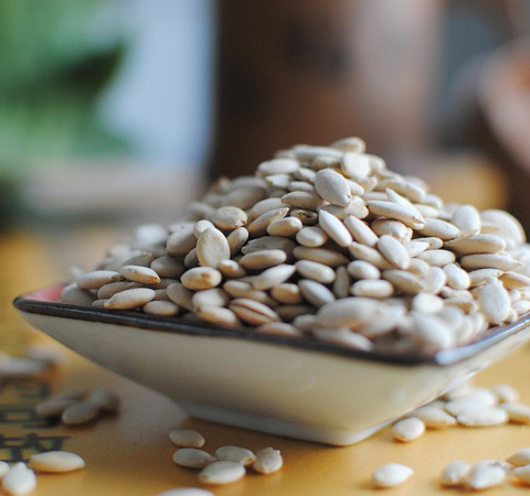 清肺化痰 冬瓜子的功效与作用和吃法介绍