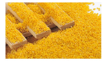 小米的营养价值及功效，小米最养生