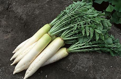 糖尿病的预防偏方及治疗糖尿病的食物