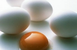 孕妇能吃鹅蛋吗 吃鹅蛋的四大好处