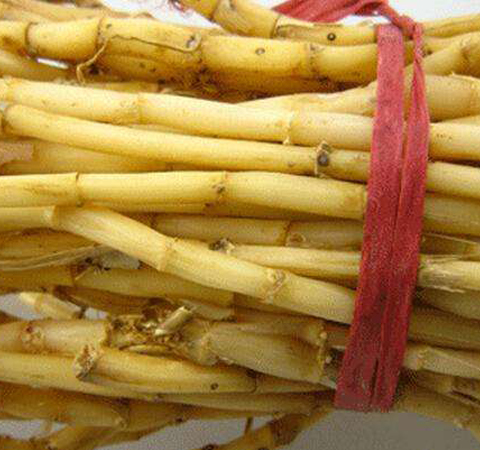 清热生津 芦根的功效与作用和食用方法介绍