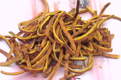 治疗肺炎 黄柏的功效与作用和禁忌介绍