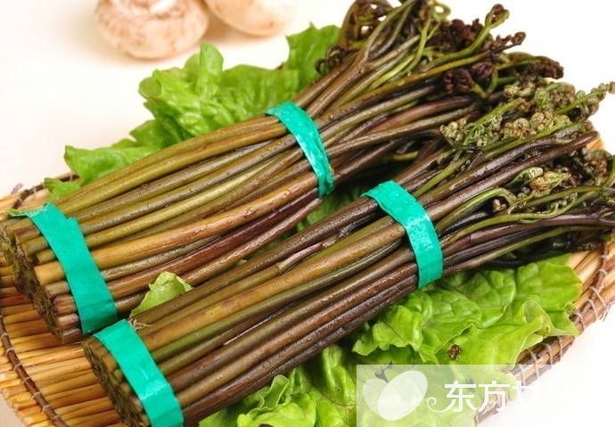 蕨菜的做法大全家常 吃蕨菜有什么好处