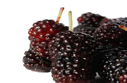 为你揭秘桑葚酒的功效与作用