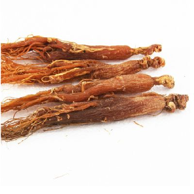 女性之友 红参的功效与作用及食用方法