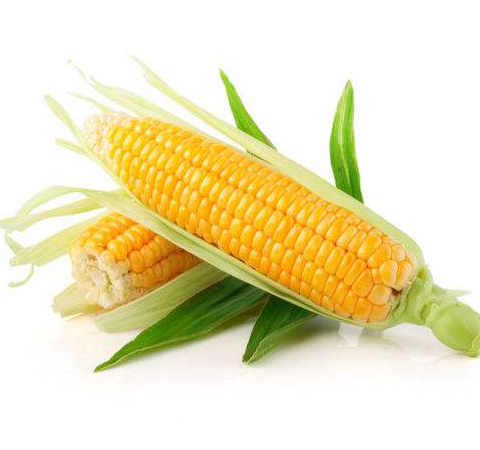 防治黄褐斑 维生素e的作用和食物介绍