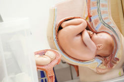 胎儿入盆是什么感觉 很多新妈妈不知道哟