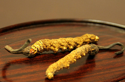 虫草花的功效与作用及简单易懂的吃法