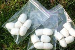 蚕蛹是绝佳的美食 蚕蛹洗脸