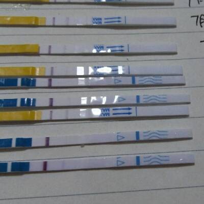 早早孕试纸最早什么时候用 以确诊是不是怀孕