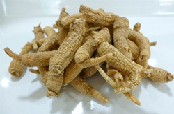 大补元气 人参的功效和作用及吃法介绍