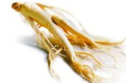 高丽参的副作用  你知道多少