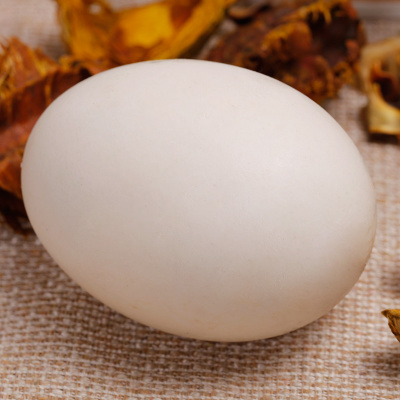 孕妇能吃鹅蛋吗 吃鹅蛋的四大好处