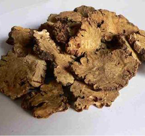 活血行气 川芎的功效与作用及食用方法介绍