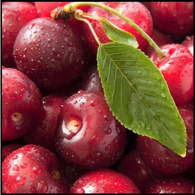 吃什么补铁 3种最常见的水果